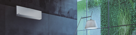 Show_banner-dom